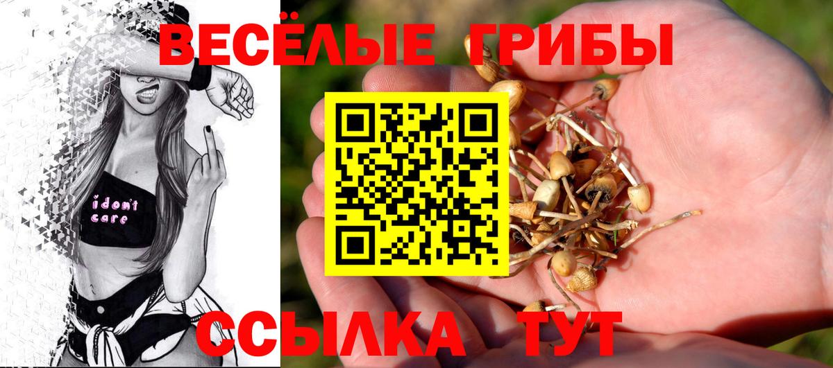 Псилоцибиновые грибы Magic Shrooms Мирный